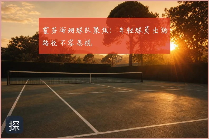 霍芬海姆球队聚焦:年轻球员出场路径不容忽视
